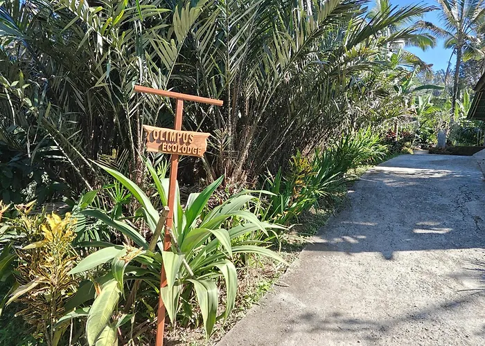Olimpus Vakantiehuis Selemadeg